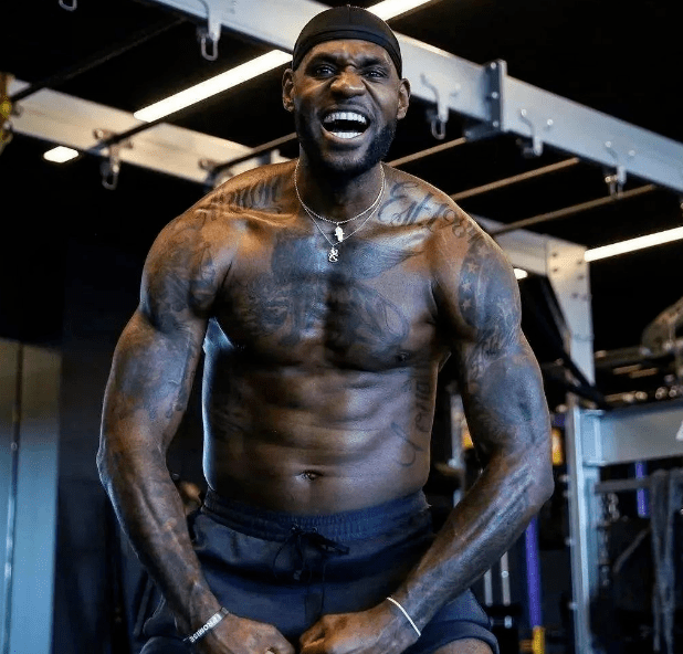 的营养体系 的营养体系