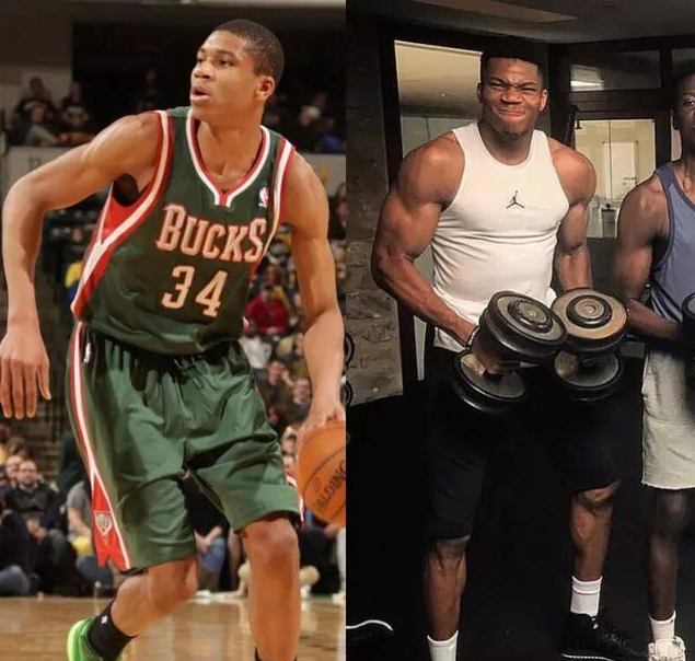 案是系统化 案是系统化